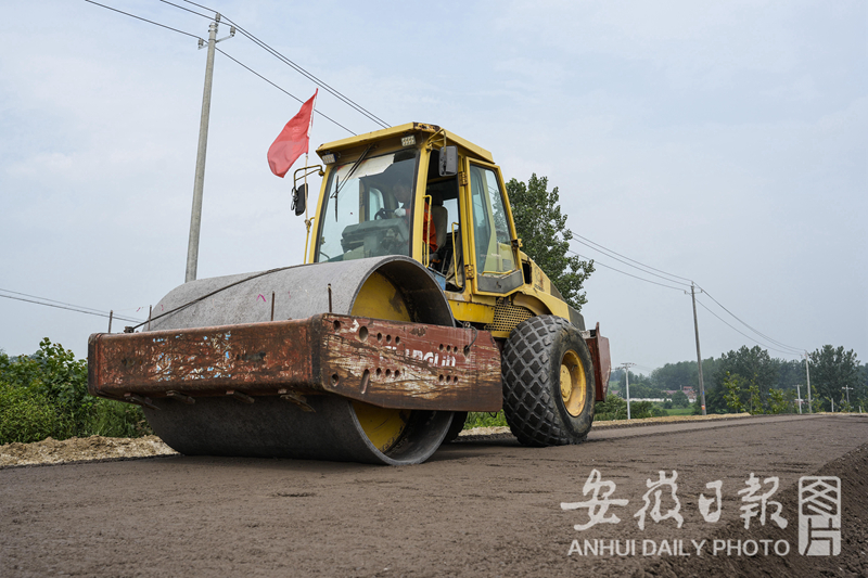 小龙人免费料