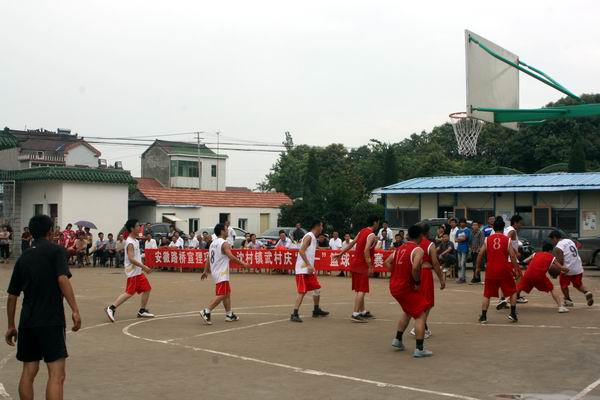 小龙人免费料