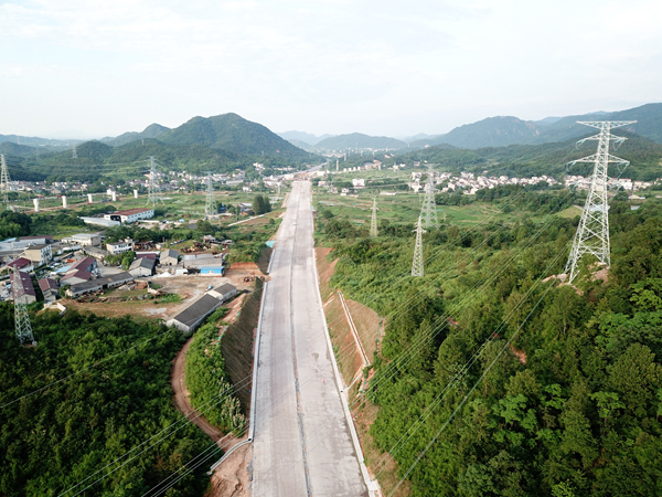 小龙人免费料