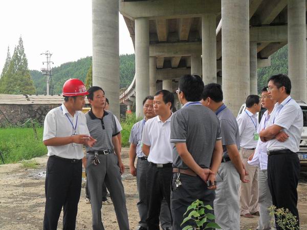 小龙人免费料