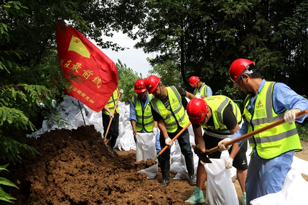 小龙人免费料