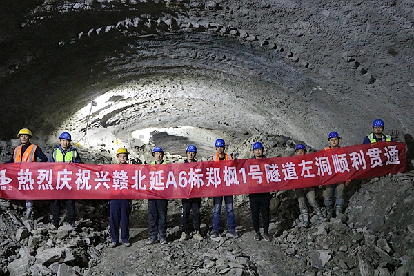 小龙人免费料