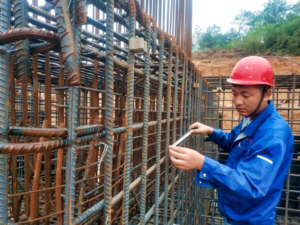 小龙人免费料