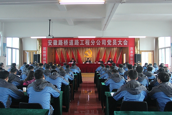 小龙人免费料