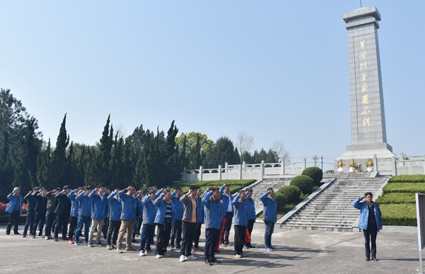 小龙人免费料